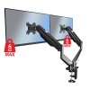 Esperanza ERW020 Gas desk mount for two monitors 17-27‘’ up to 6kg