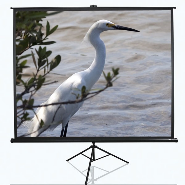 Elite Screens | Tripod Series | ...