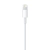 Apple Lightning to USB Cable (2 m)