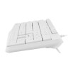 Natec | Keyboard | Nautilus NKL-1951 | Keyboard | Wired | US | White | USB Type-A | 390 g