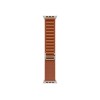 Apple 49mm Terra Cotta Alpine Loop - Large - Natural Titanium Finish