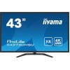 LCD Monitor|IIYAMA|43