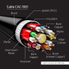CABLE DP 5M/M/M CAC-1061 CLUB3D