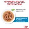 Royal Canin Maxi Puppy 10x140g