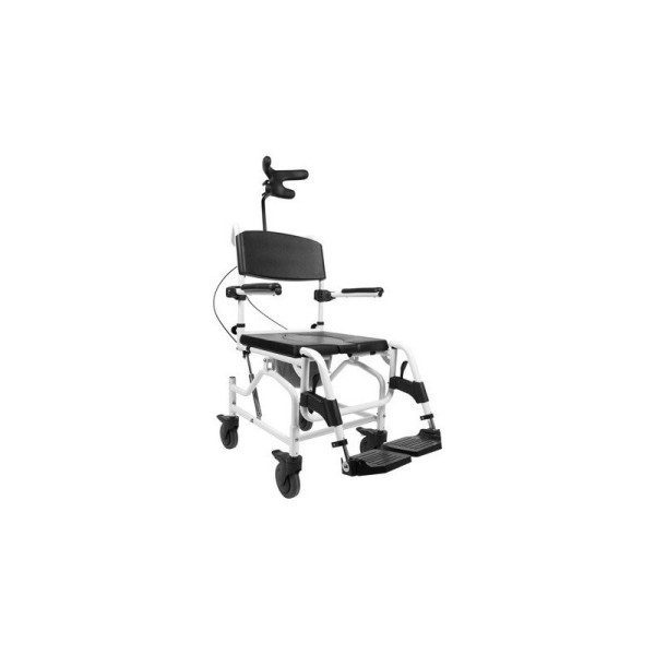 Shower and toilet trolley with head ...