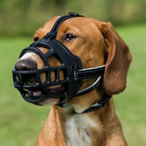 TRIXIE Muzzle Flex muzzle for dog ...