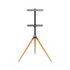 TV SET ACC FLOOR STAND /32-65