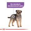 ROYAL CANIN Mini Sterilised - dry food for adult dogs, small breeds, after sterilisation - 1kg