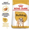 ROYAL CANIN Bulldog Adult - dry dog food - 12 kg