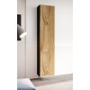 Cama full cabinet VIGO '180' 180/40/30 black/wotan oak