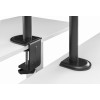 Gembird MA-D1-03 monitor mount / stand 81.3 cm (32") Black Desk