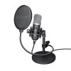 MICROPHONE GXT 252 EMITA/21753 TRUST