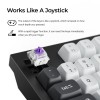 KEYBOARD WRL Q5 HE RGB/SHELL WHITE Q5H-P1 KEYCHRON