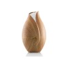 ETA | Aroma diffuser | Aria ETA463490000 | Ultrasonic | Suitable for rooms up to 25 m³ | Wood