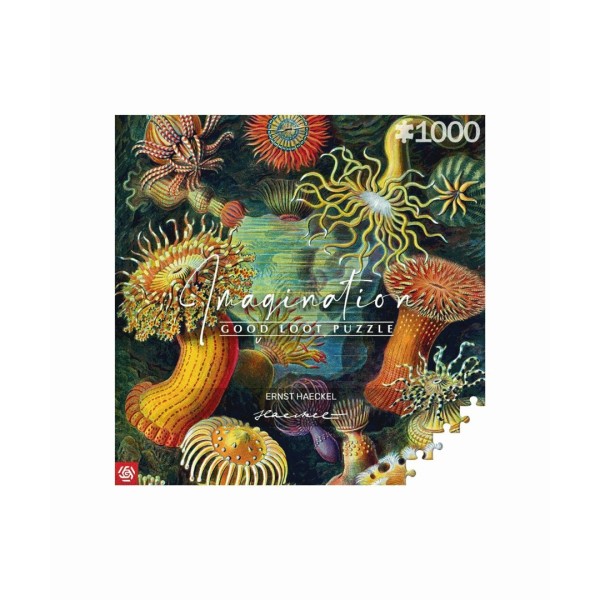 Imagination Puzzle: Ernst Haeckel Sea Creatures ...