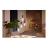 Hue WA 7W Filament G93 globe E27 | E27 | 7 W | Warm to cool white 2200-4500K | Bluetooth and Zigbee