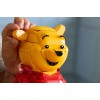 LEGO DISNEY 43300 Winnie the Pooh