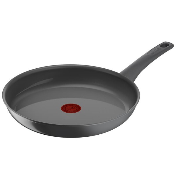 TEFAL Renewal Pan | C4260643 | ...