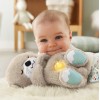 Fisher-Price Soothe 'N Snuggle Otter