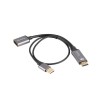 Lanberg HDMI(M)->Displayport(F) Adapter 4K on cable 20cm, Silver