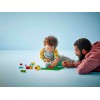 LEGO DUPLO CLASSIC 10460
