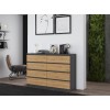 Topeshop M8 140 ANT/ART KPL chest of drawers