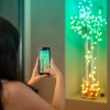 Twinkly Candies LED Christmas tree lights TWKC100RGB-G 6 M Candle shape