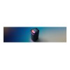 Sony SRS-XV800 X-Series Wireless Party Speaker | Sony | X-Series Wireless Party Speaker | SRS-XV800 | Bluetooth | Black | Wireless connection