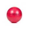 ABS rehabilitation ball with pump 55cm