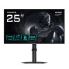GIGABYTE Gaming Monitor 24,5