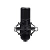 Trust GXT 269 Emita II Black Studio microphone