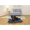 KERBL Ely Grey-turquoise Lounge Cushion - Pet Bed - 70 x 45 x 9 cm