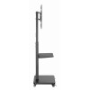Gembird TVS-75S-02 TV floor stand with caster wheels, 37" - 75", black