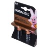 DURACELL Basic MN1500 AA BL2 | Duracell