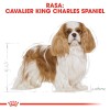 Dog Food Royal Canin SHN Breed Cavalier K C 1.5 kg