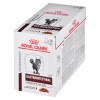 ROYAL CANIN Intestinal Gastro Moderate Cat 12x85g