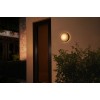 Philips Hue WCA Daylo Outdoor Wall Lantern, Inox | 15 W | 2000-6500 Hue White Colour Ambiance