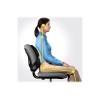 Fellowes | Professional back support - Professional Series | Depth 55 mm | Height 365 mm | High-density foam | Width 375 mm