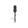 Natec | Microphone | GENESIS Radium 251 | Built-in microphone | USB Type-C | Black