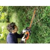 Black & Decker GTC18452PC power hedge trimmer Double blade 2.42 kg