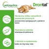 VETOQUINOL Drontal - anti-parasite tablets for cats - 2 pcs.