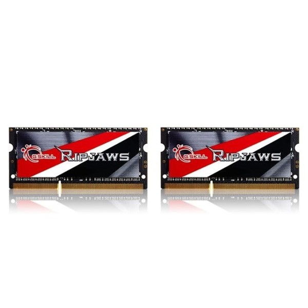 G.Skill 16GB DDR3-1600 memory module 2 ...