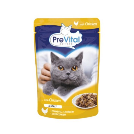 PREVITAL kurczak w galaretce dla kotów 100g