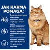 HILL'S PD K/D Kidney + Mobility Chicken - dry cat food - 3kg