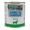 FARMINA Vet Life Canine Renal - wet dog food - 300 g