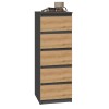 Topeshop W5 ANT/ART KPL chest of drawers