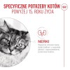ROYAL CANIN Ageing 15+ - dry cat food - 4kg