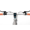 Sharp Hybrid E-Bike | 250 W | 21 