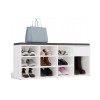 TALLIN shoe cabinet, white