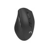 Natec | Keyboard and Mouse | Stringray 2in1 Bundle | Keyboard and Mouse Set | Wireless | Batteries included | US | Black | Wireless connection